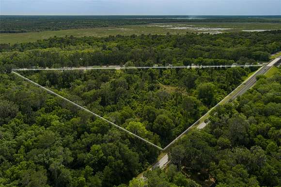 16.2 Acres of Recreational Land for Sale in Micanopy, Florida