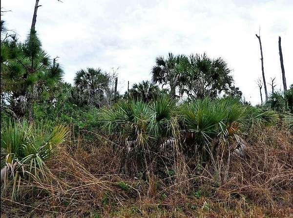 0.23 Acres of Land for Sale in North Port, Florida