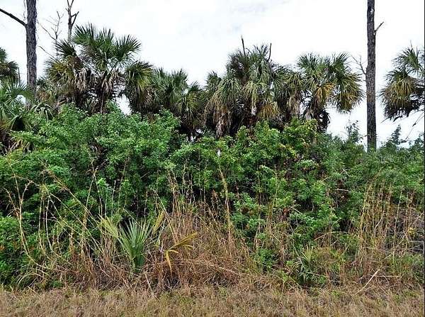 0.32 Acres of Land for Sale in North Port, Florida