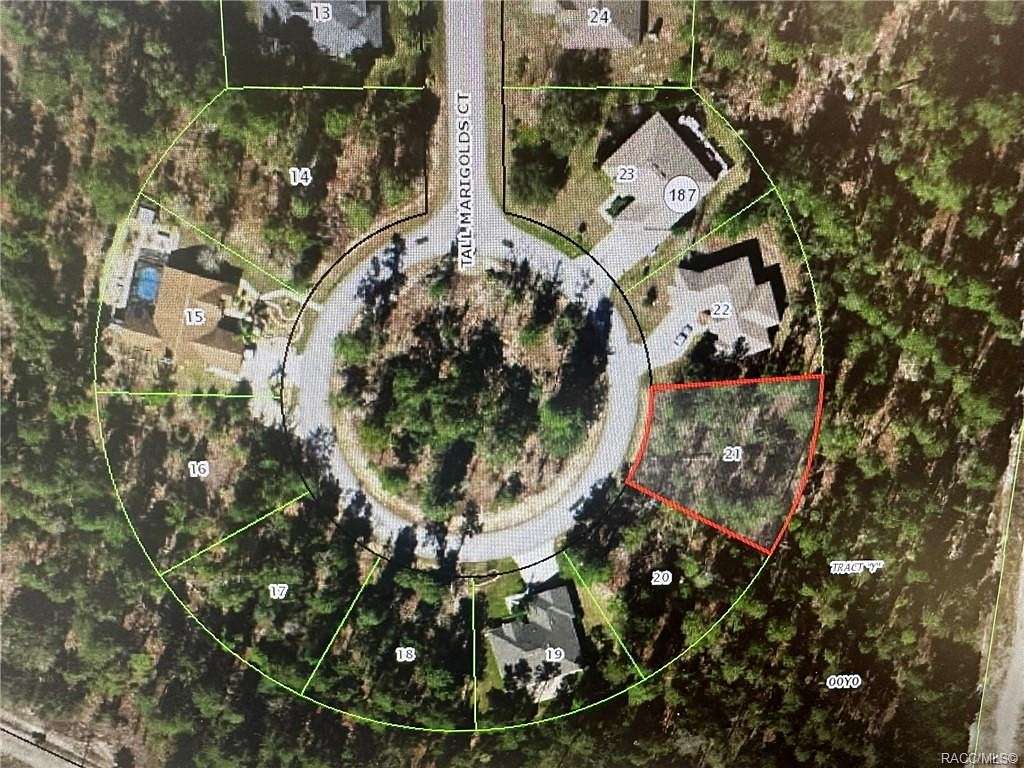 0.28 Acres of Land for Sale in Homosassa, Florida