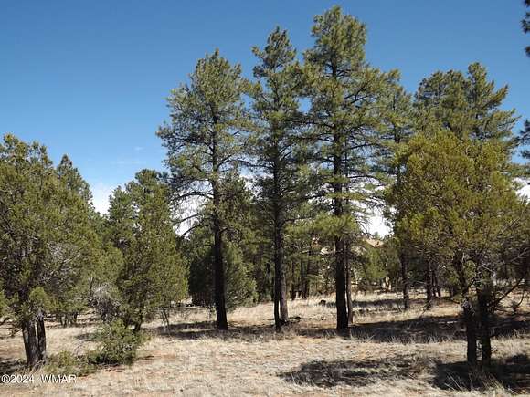 1.3 Acres of Residential Land for Sale in Overgaard, Arizona
