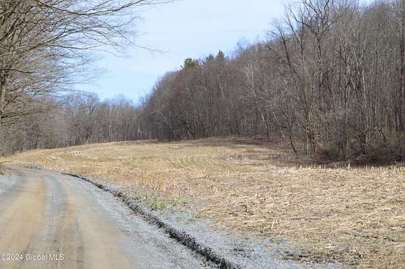 14.3 Acres of Land for Sale in Argyle, New York