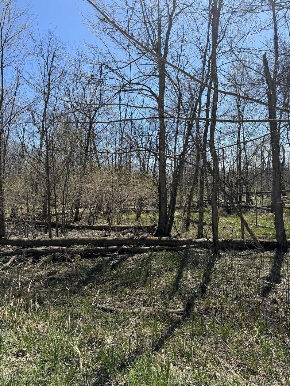 5.2 Acres of Residential Land for Sale in Grand Junction, Michigan