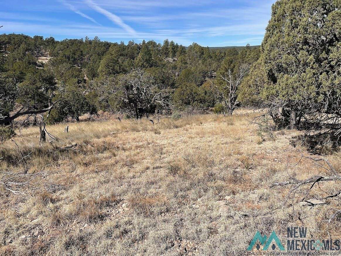 0.84 Acres of Land for Sale in Timberon, New Mexico