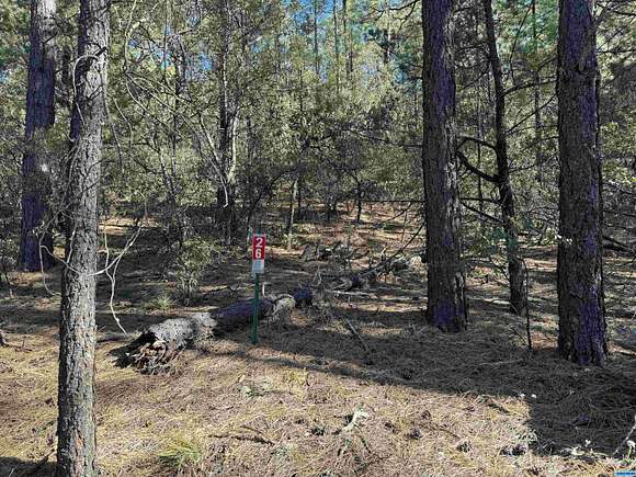 5 Acres of Residential Land for Sale in Pinos Altos, New Mexico