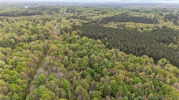 196 Acres of Recreational Land for Sale in Sanford, North Carolina