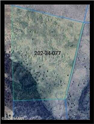 36.5 Acres of Agricultural Land for Sale in St. Johns, Arizona