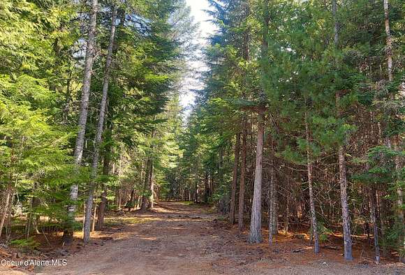 5 Acres of Land for Sale in Clark Fork, Idaho