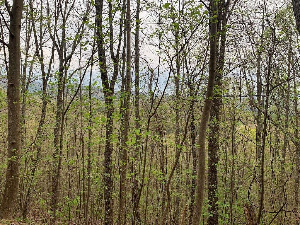 1.6 Acres of Residential Land for Sale in Murphy, North Carolina