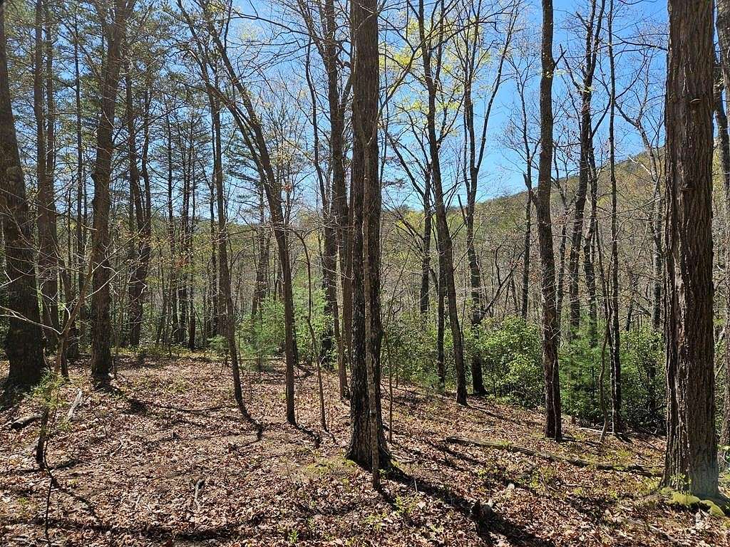 5.2 Acres of Residential Land for Sale in Blue Ridge, Georgia