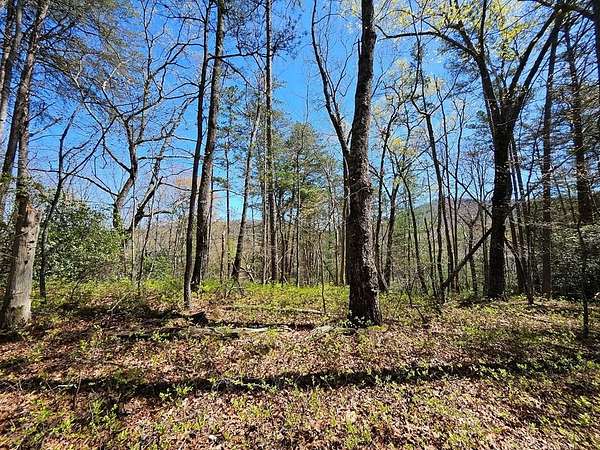 5.2 Acres of Residential Land for Sale in Blue Ridge, Georgia