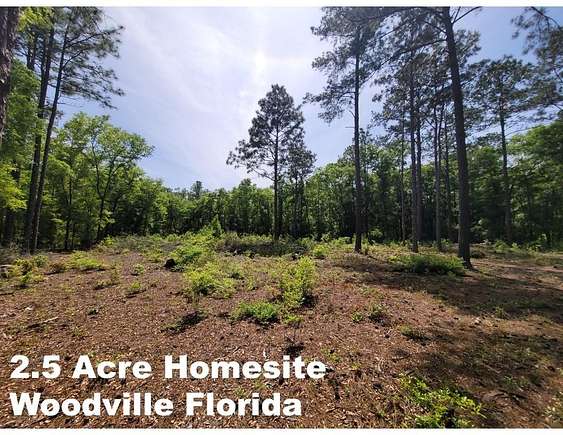 2.5 Acres of Residential Land for Sale in Woodville, Florida