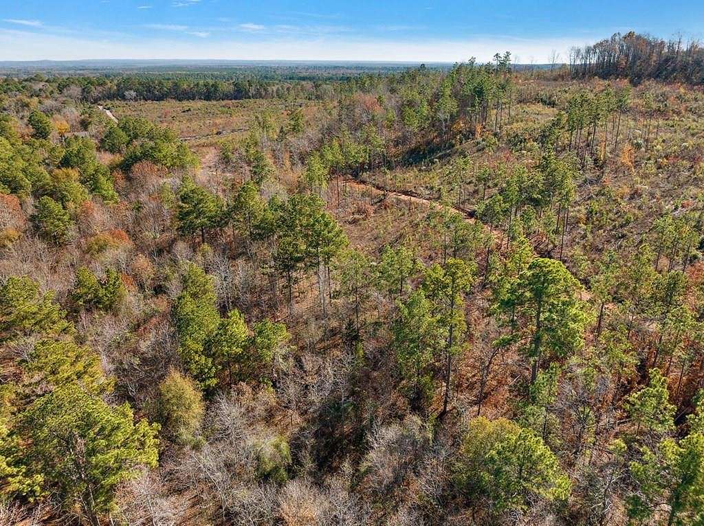 43 Acres of Land for Sale in Rusk, Texas