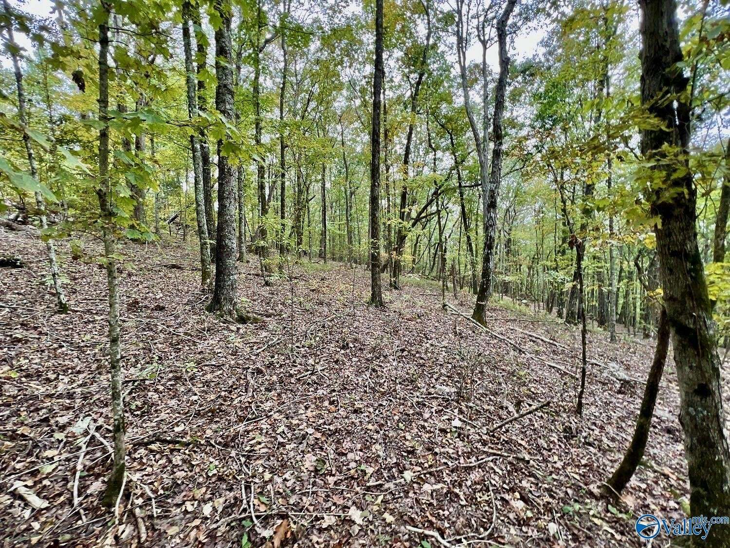 32.5 Acres of Recreational Land for Sale in Gurley, Alabama