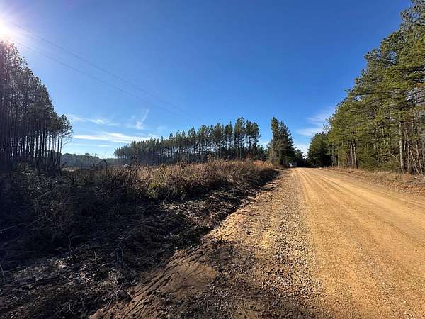 33 Acres of Recreational Land for Sale in Kosciusko, Mississippi