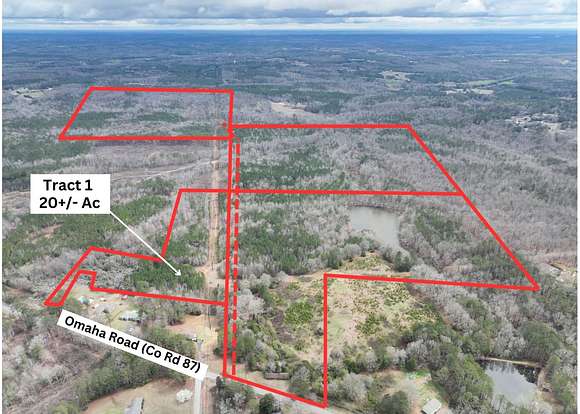 20 Acres of Land for Auction in Roanoke, Alabama
