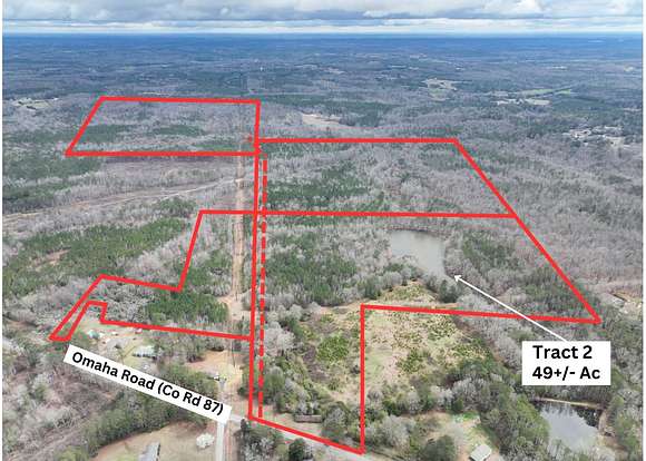 49 Acres of Land for Auction in Roanoke, Alabama