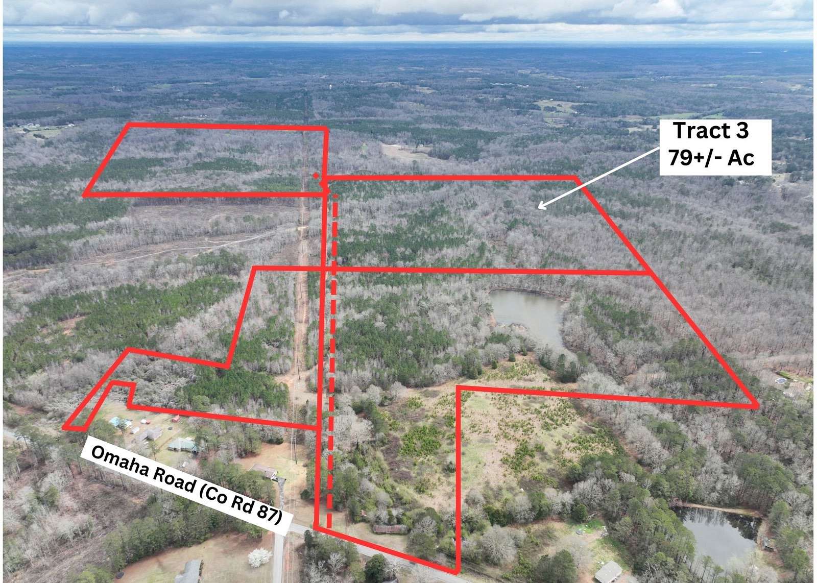 79 Acres of Land for Auction in Roanoke, Alabama