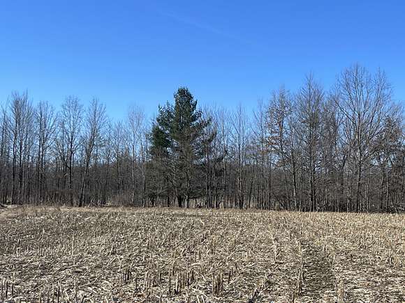 43.3 Acres of Land for Sale in Sand Lake, Michigan
