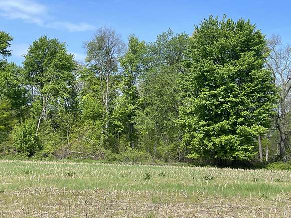 4.9 Acres of Residential Land for Sale in Sand Lake, Michigan