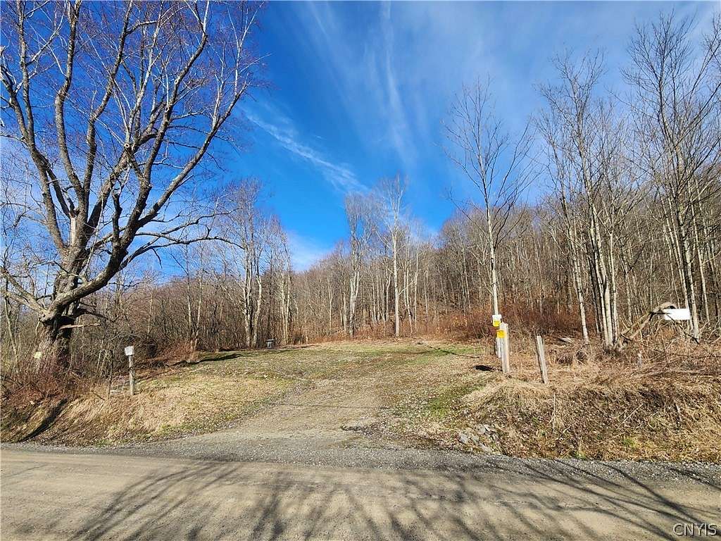 5 Acres of Agricultural Land for Sale in Otselic, New York