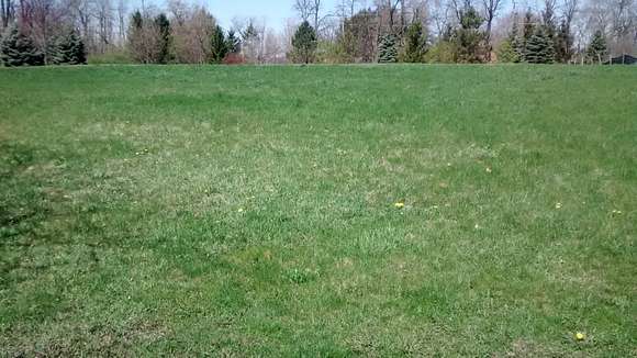 1 Acre of Residential Land for Sale in Wauconda, Illinois
