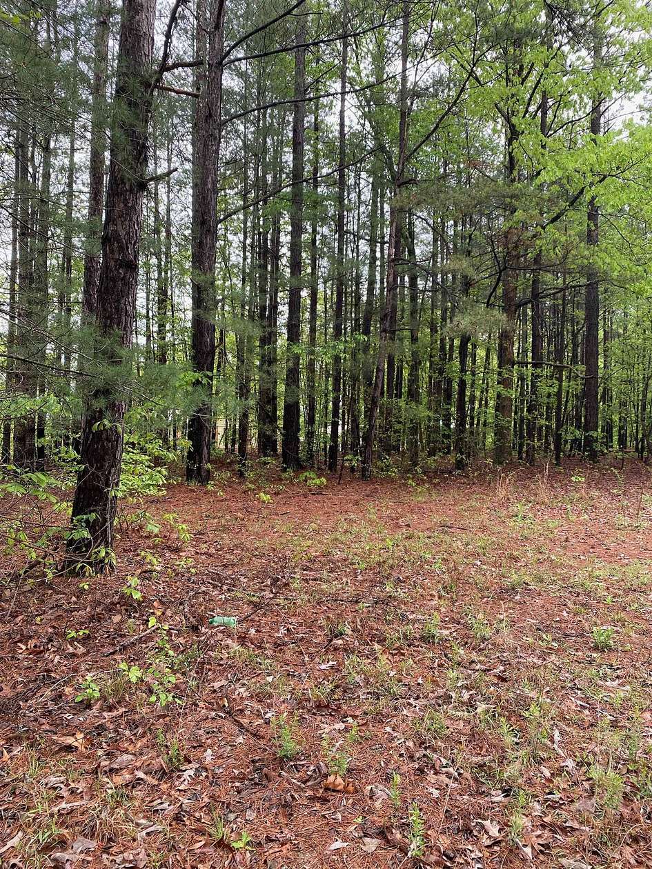 1 Acre of Residential Land for Sale in Chesnee, South Carolina