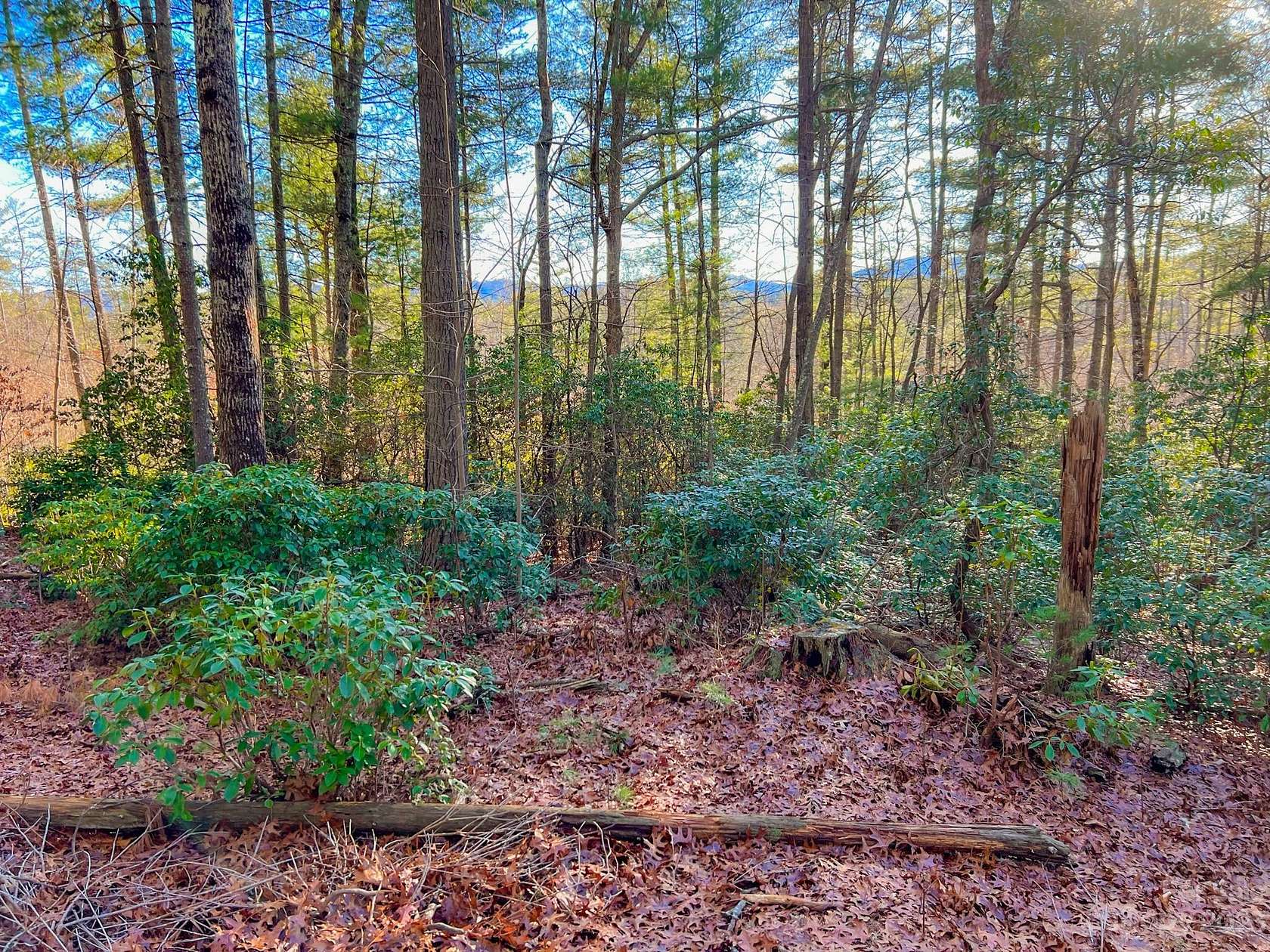 24.8 Acres of Land for Sale in Hendersonville, North Carolina