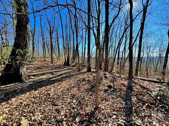 4.2 Acres of Land for Sale in Columbus, North Carolina