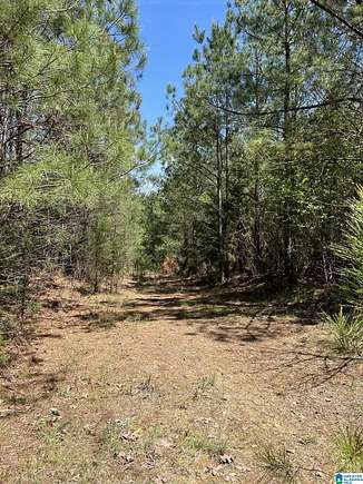 50 Acres of Recreational Land for Sale in Hamilton, Alabama
