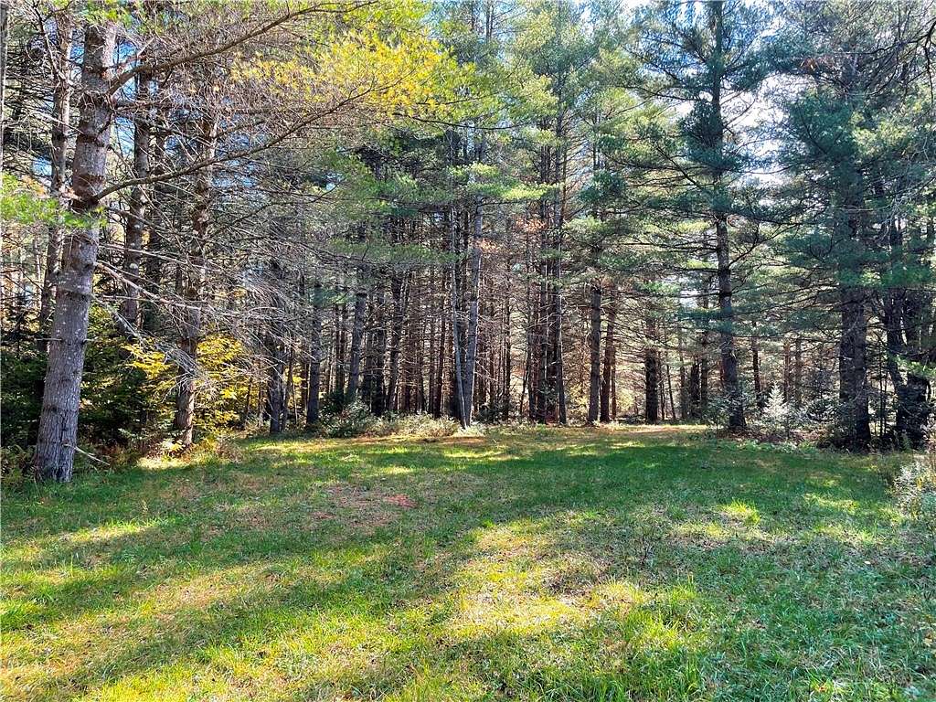 48.3 Acres of Land for Sale in Ohio, New York