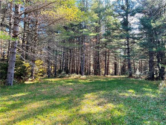 48.3 Acres of Land for Sale in Cold Brook, New York