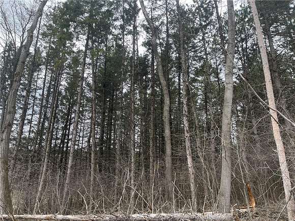 4.84 Acres of Residential Land for Sale in Eau Claire, Wisconsin