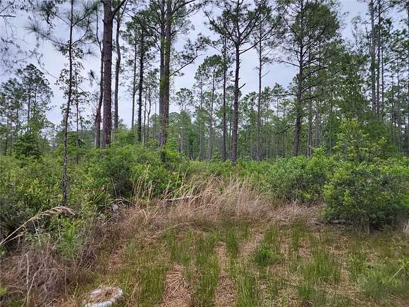 4 Acres of Residential Land for Sale in Fort McCoy, Florida