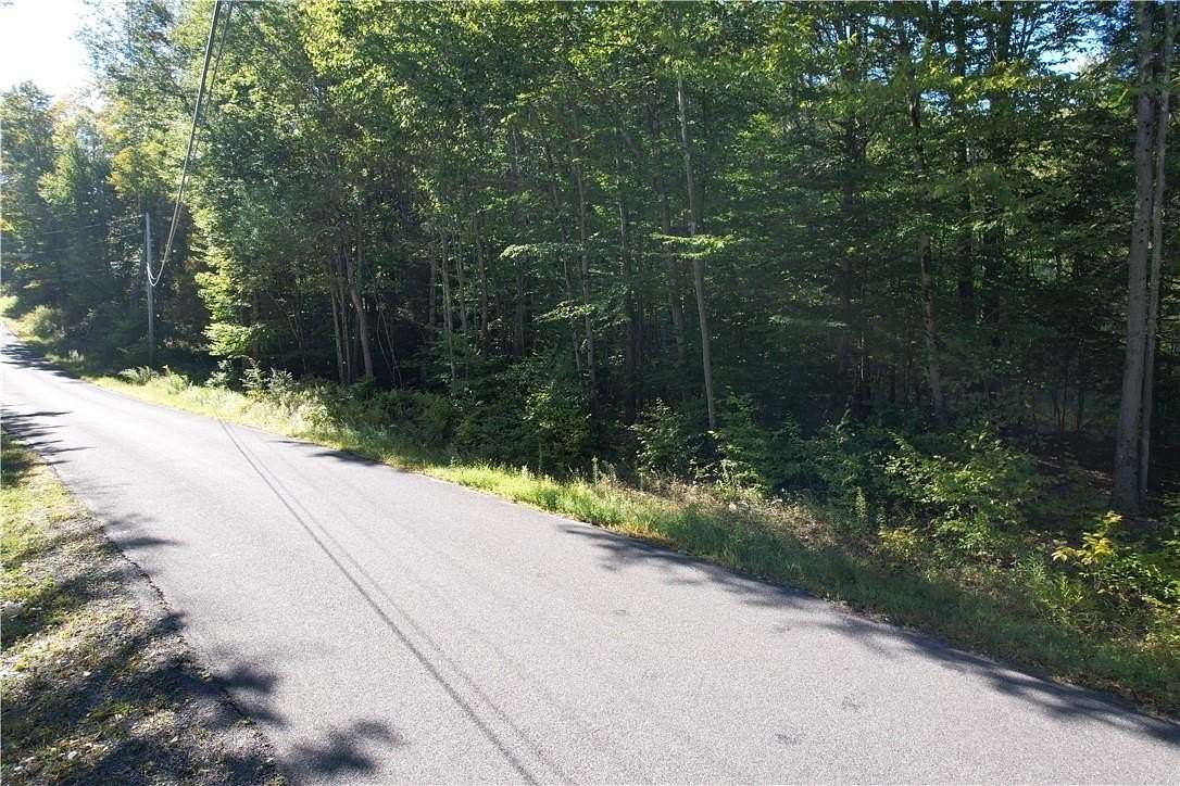 5.42 Acres of Land for Sale in Fallsburg, New York