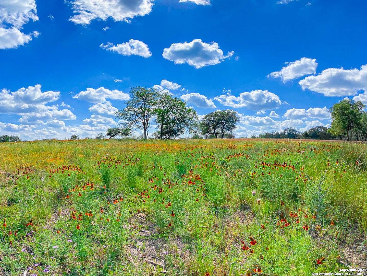 5.63 Acres of Residential Land for Sale in Center Point, Texas