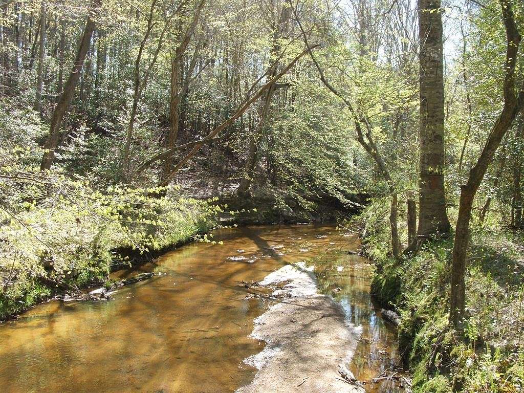 110 Acres of Land for Sale in South Hill, Virginia