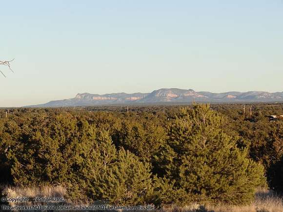 11 Acres of Recreational Land for Sale in Quemado, New Mexico