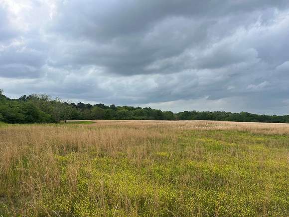 80 Acres of Land for Sale in Newville, Alabama