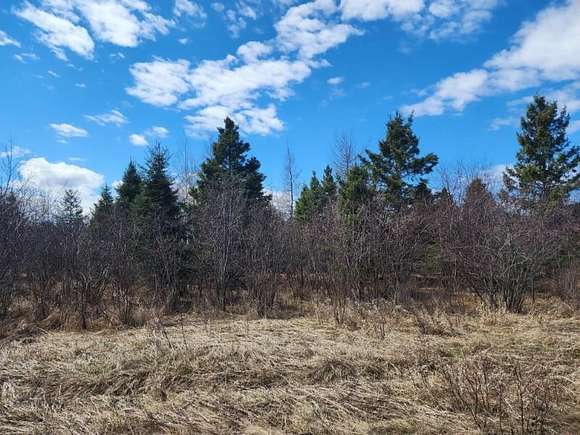 40 Acres of Land for Sale in Pickford, Michigan