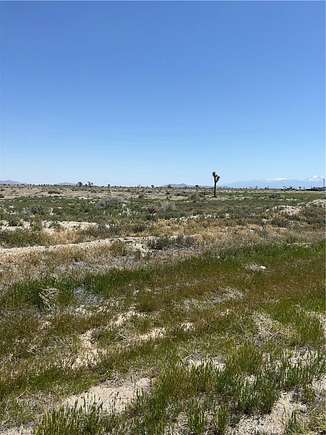 20.233 Acres of Agricultural Land for Sale in Lancaster, California