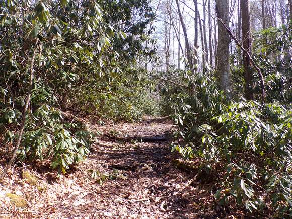 21.7 Acres of Recreational Land for Sale in Shady Valley, Tennessee
