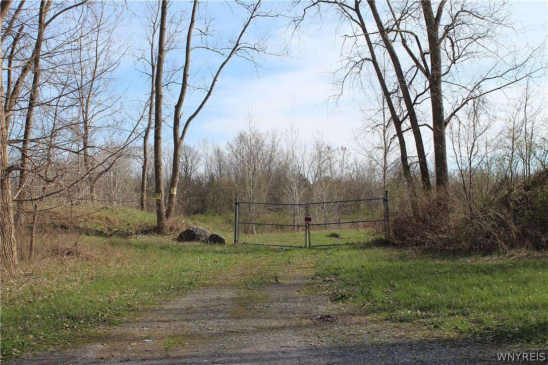 31 Acres of Agricultural Land for Sale in Clarence, New York