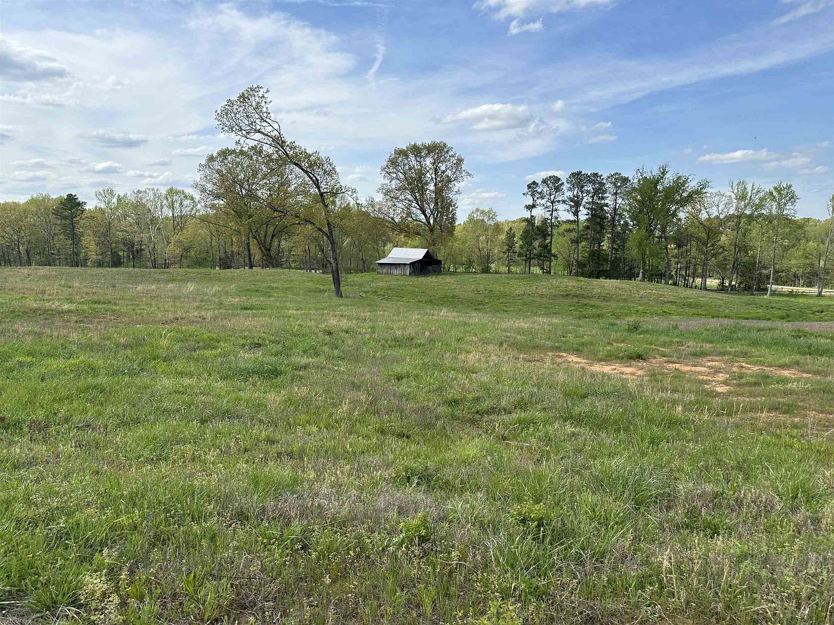 32 Acres of Agricultural Land for Sale in Lexington, Tennessee