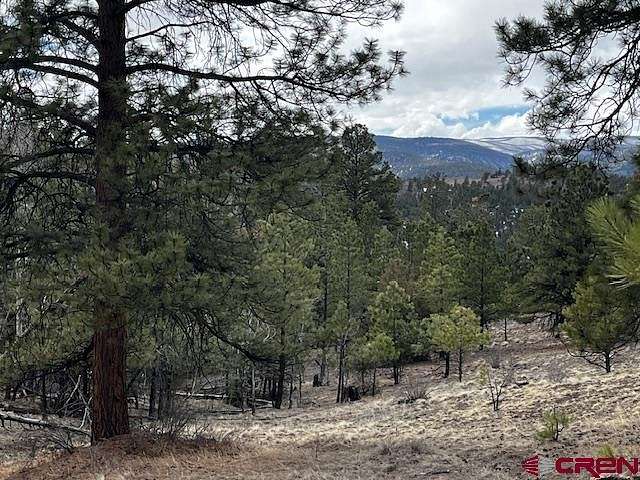 2.3 Acres of Residential Land for Sale in South Fork, Colorado