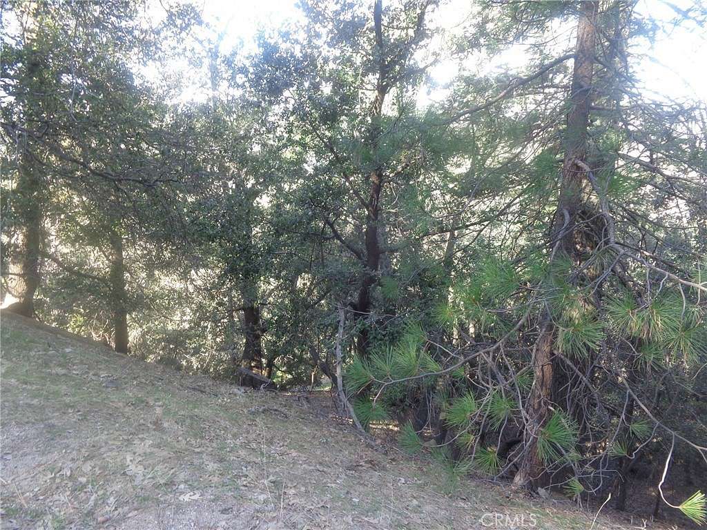 0.122 Acres of Residential Land for Sale in Crestline, California