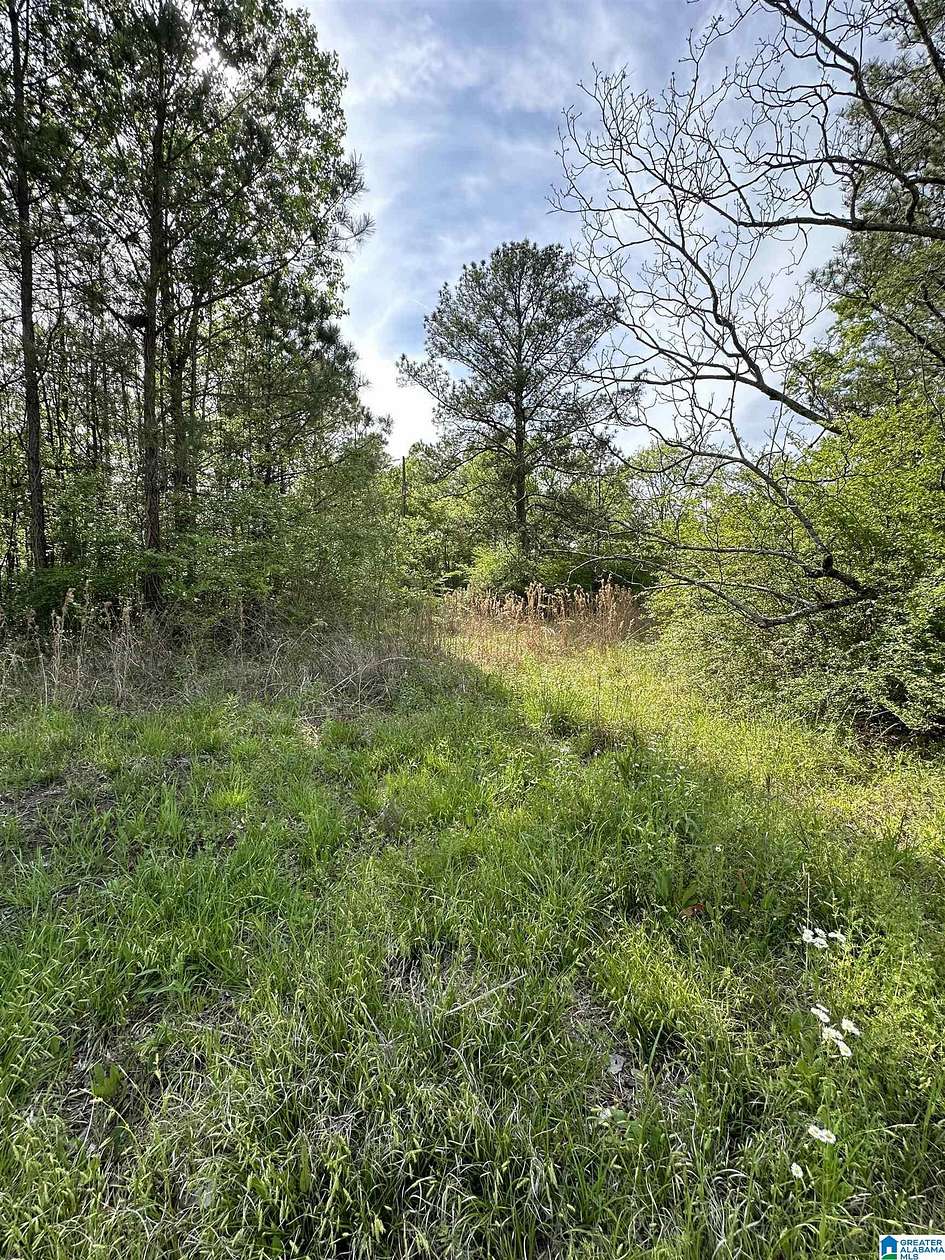 0.55 Acres of Residential Land for Sale in Vincent, Alabama