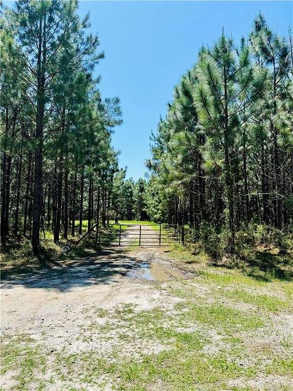 30.5 Acres of Land for Sale in Townsend, Georgia
