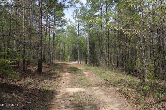 80 Acres of Recreational Land for Sale in Ashland, Mississippi