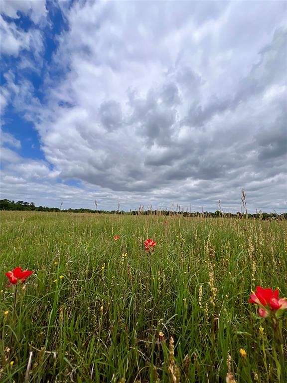 90.2 Acres of Recreational Land & Farm for Sale in Gladewater, Texas